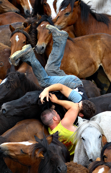 Rapa das bestias, Galicia