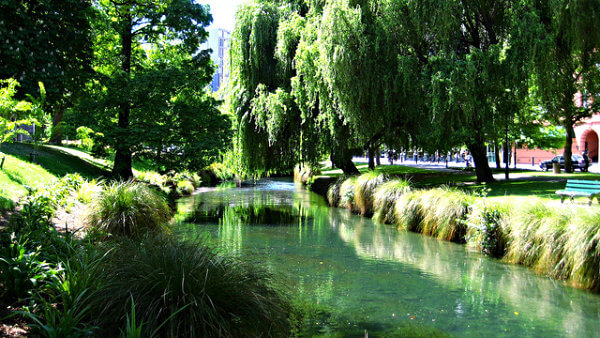 jardin botanico de nueva zelanda en primavera