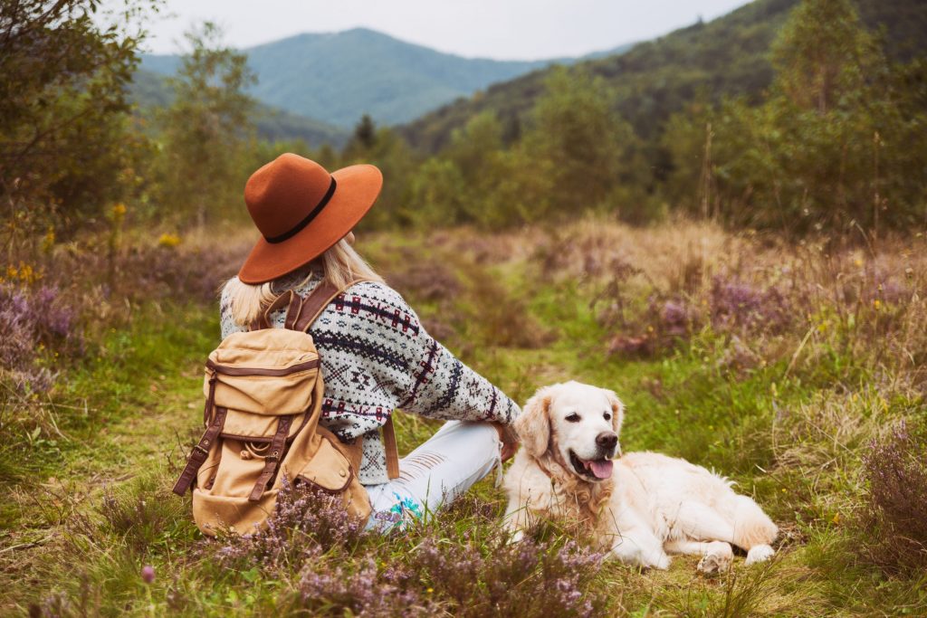 excursiones con perro en Mallorca