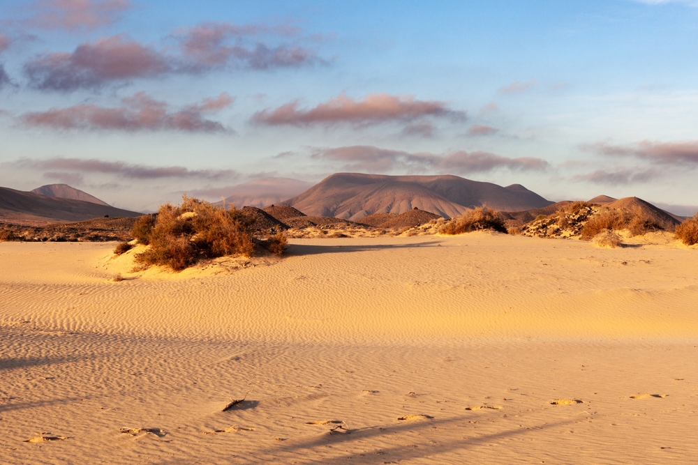 Actividades en Fuerteventura: Aventuras en el Paraíso Canario